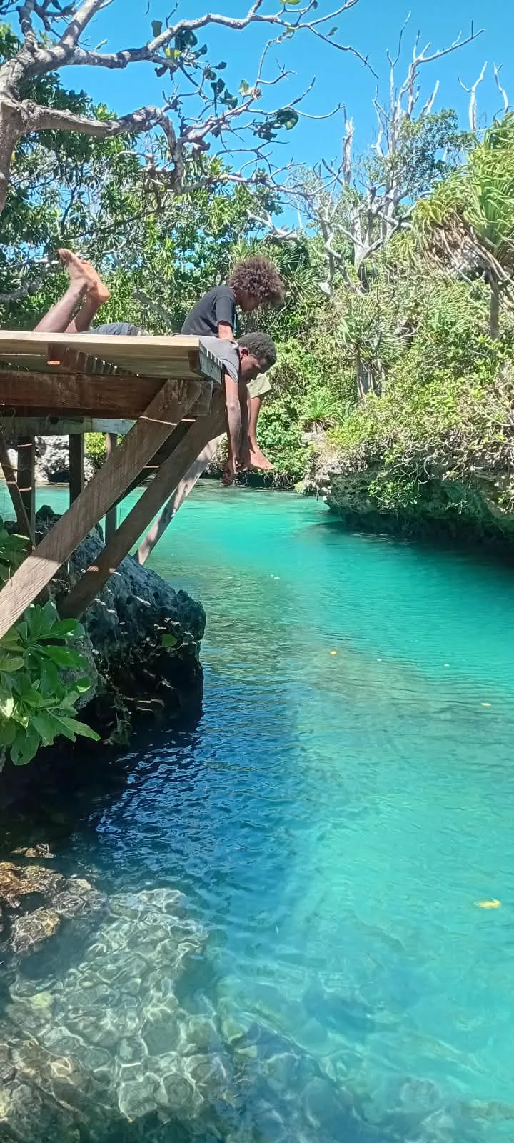 🌴 Option 1 — Vanuatu Highlights Tour