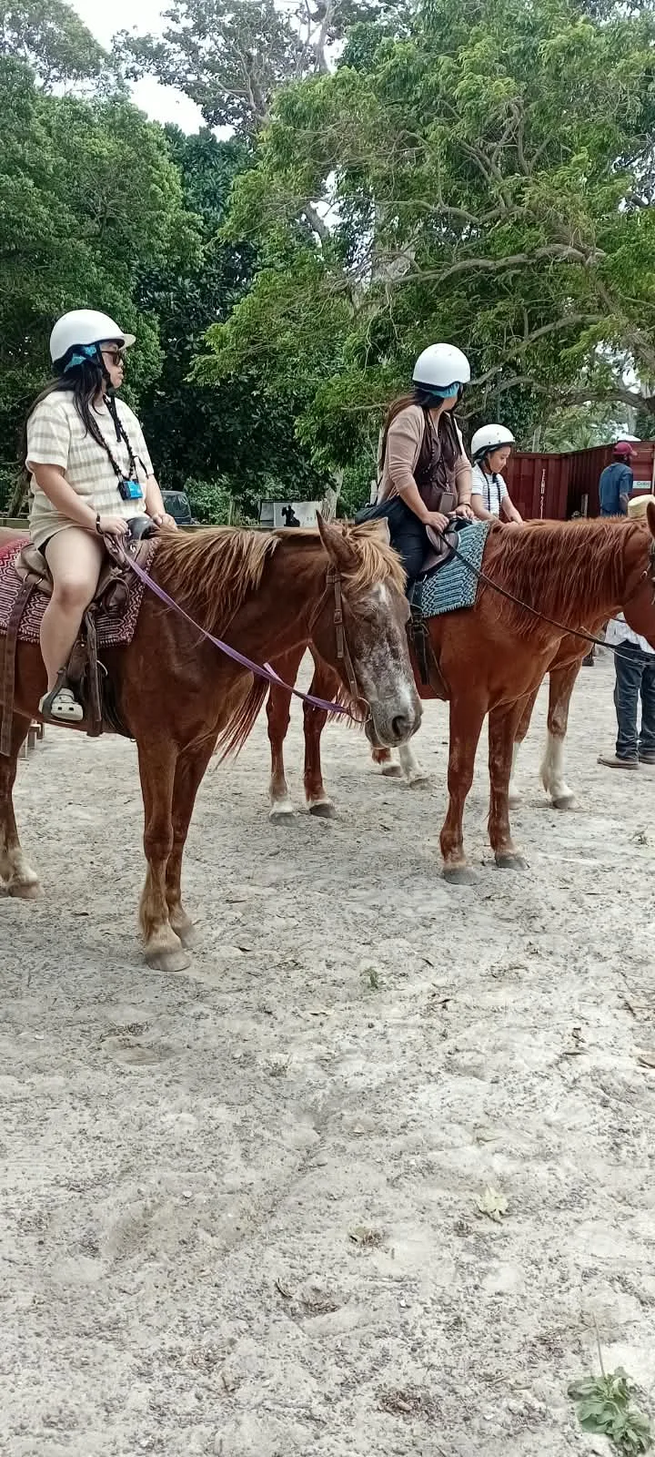 🐴 Option 4 — Horse Riding & Blue Lagoon