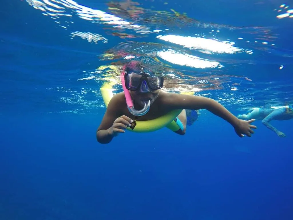 Lelepa Round Island Day Tour